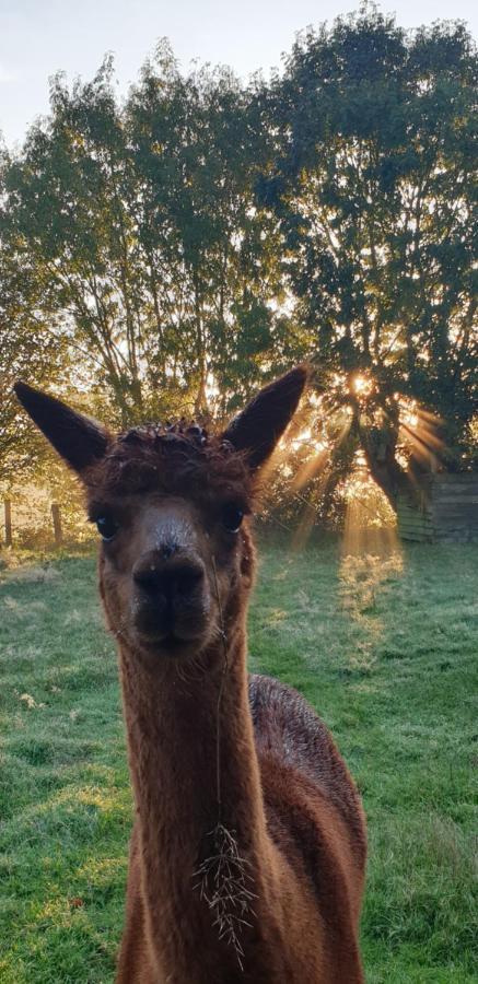 Aux Murmures De La Nature Bed & Breakfast *