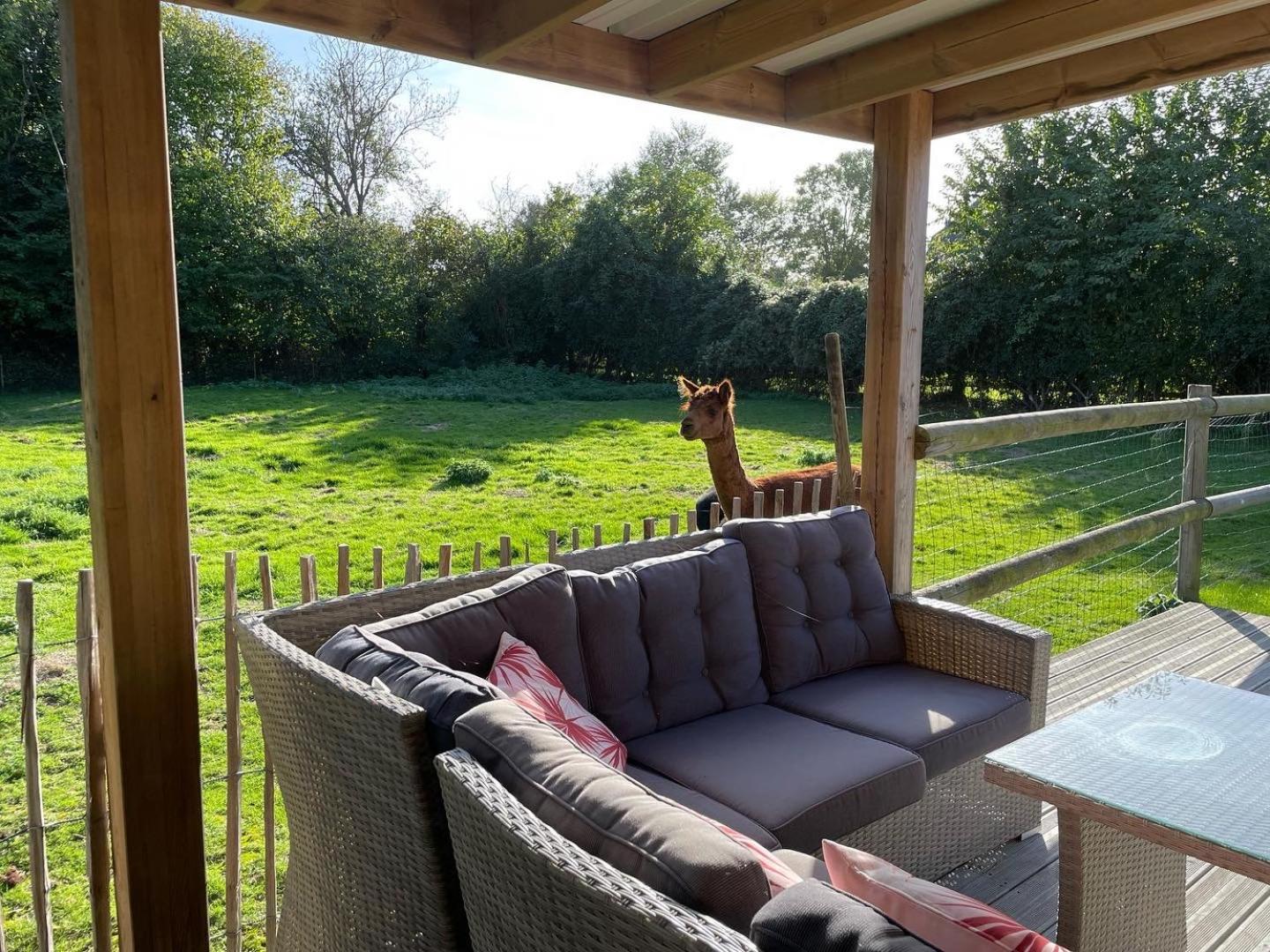 Bed & Breakfast Aux Murmures De La Nature Honfleur